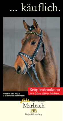 Reitpferdeauktion Marbach