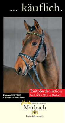 Reitpferdeauktion Marbach