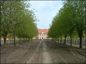 Landgestüt Neustadt Dosse